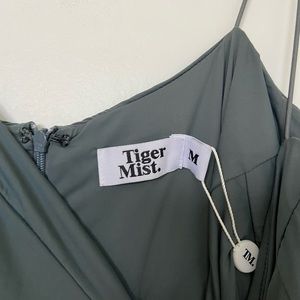 Beautiful Tiger Mist Steel Gray Minidress